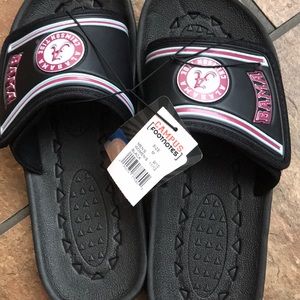 Alabama sliders